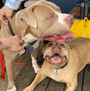 Meet your Posher, Vivian